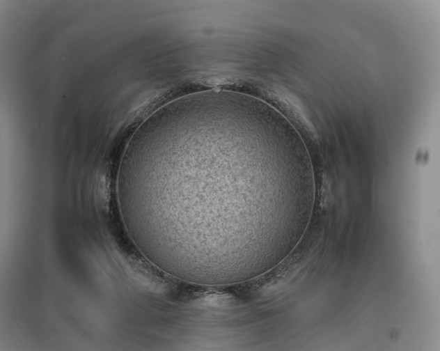 X0000096980210200802151338