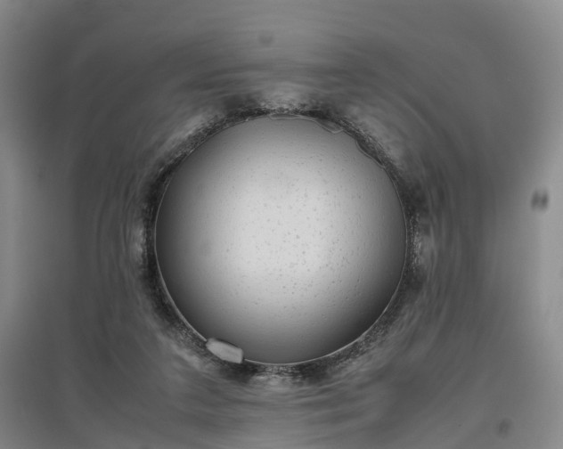 X0000096980211200802151337