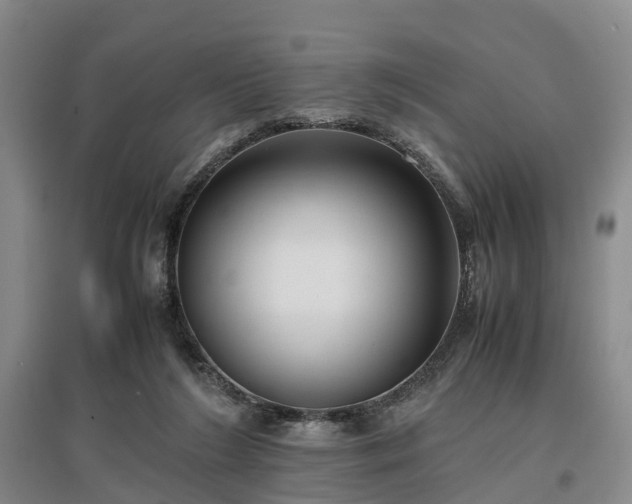 X0000096980212200802151337