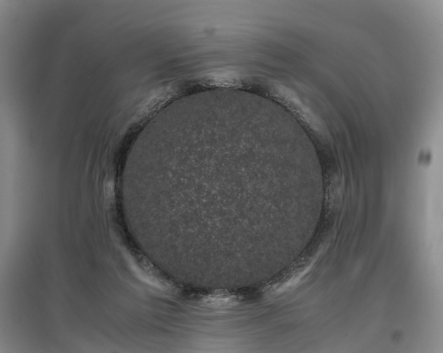 X0000096980213200802151337