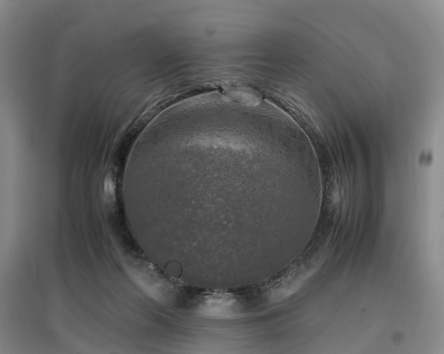 X0000096980214200802151337