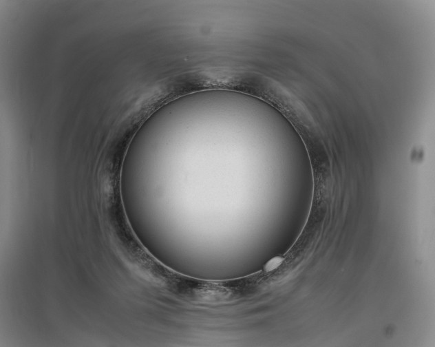 X0000096980215200802151337