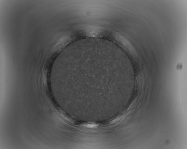 X0000096980217200802151337