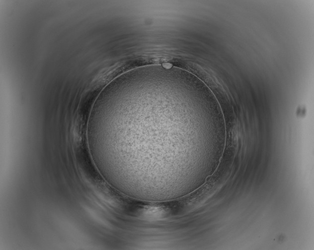 X0000096980218200802151337