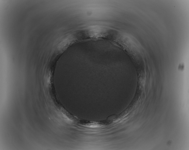 X0000096980219200802151337