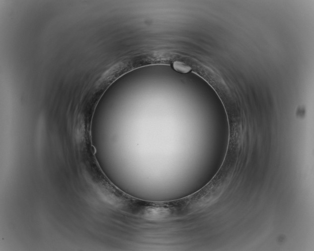 X0000096980220200802151337