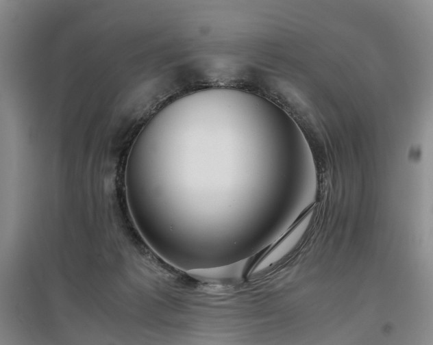 X0000096980221200802151337