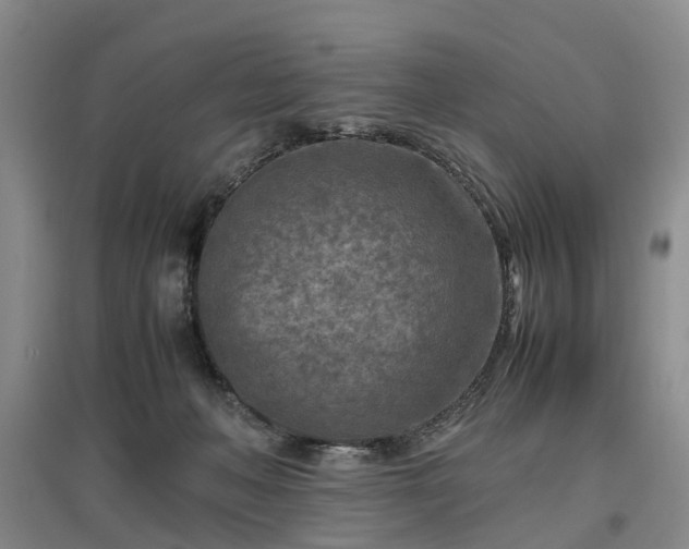 X0000096980222200802151337