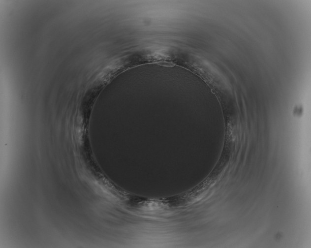 X0000096980223200802151337