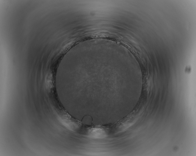 X0000096980224200802151337