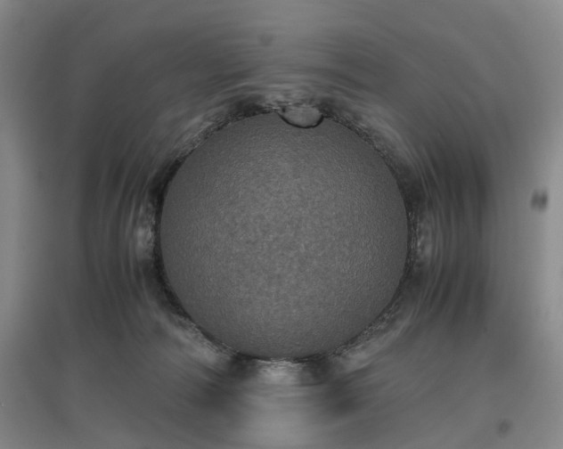 X0000096980226200802151337