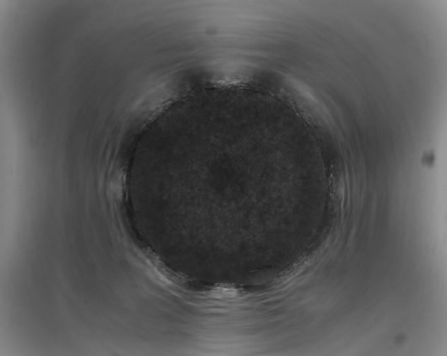 X0000096980227200802151337