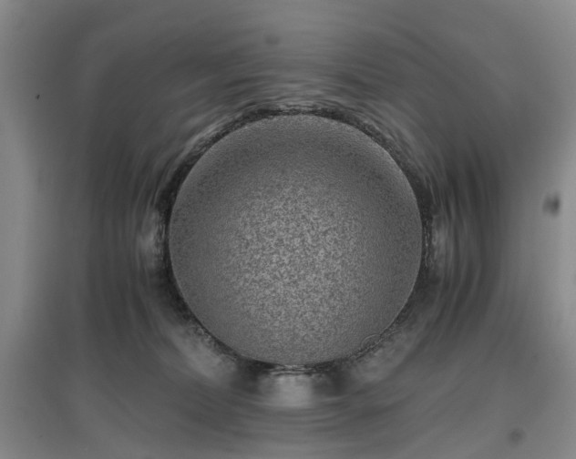 X0000096980228200802151337