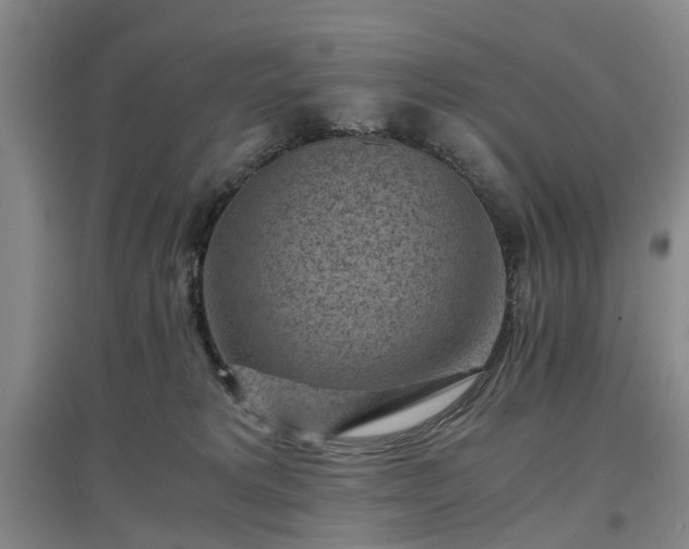 X0000096980229200802151337