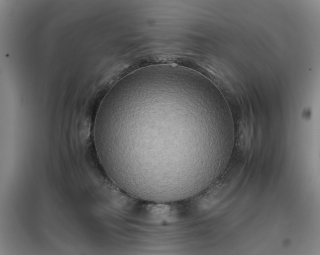 X0000096980230200802151337