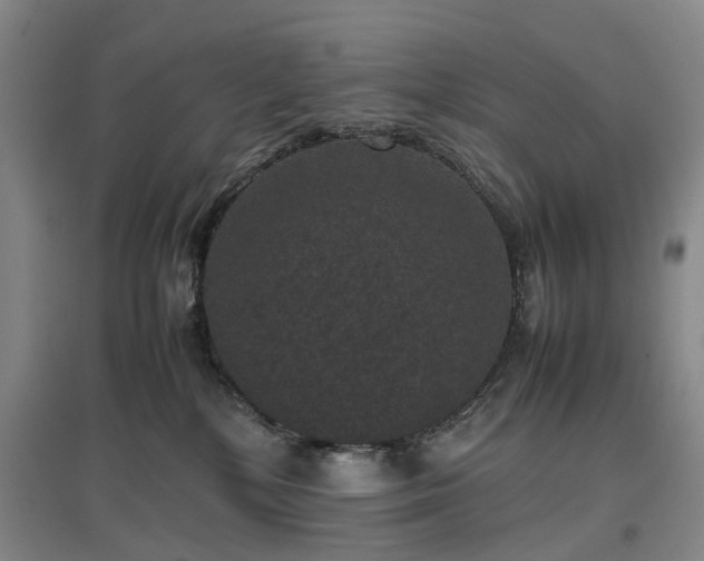 X0000096980232200802151337