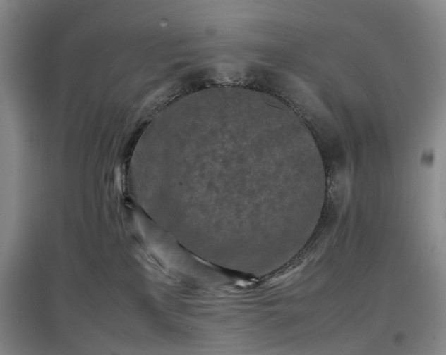 X0000096980233200802151337