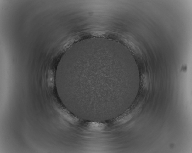 X0000096980234200802151337