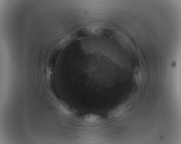 X0000096980235200802151337