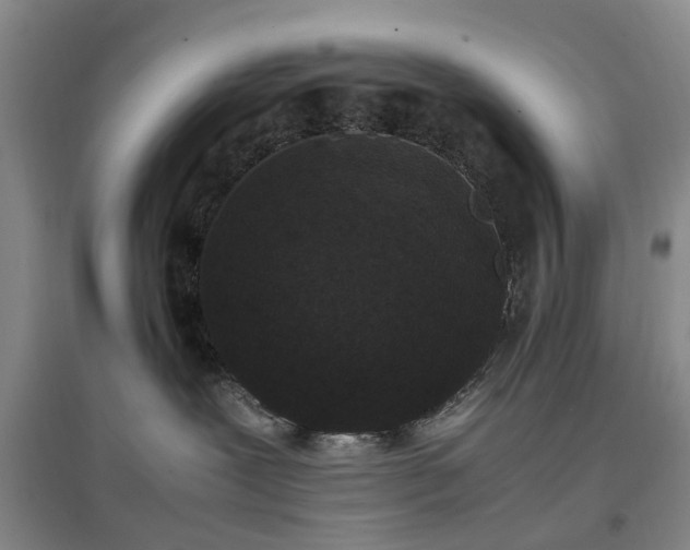 X0000096980239200802151337