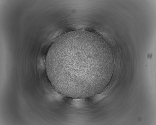 X0000096980240200802151337