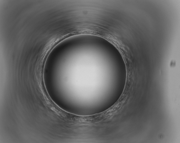 X0000096980241200802151336