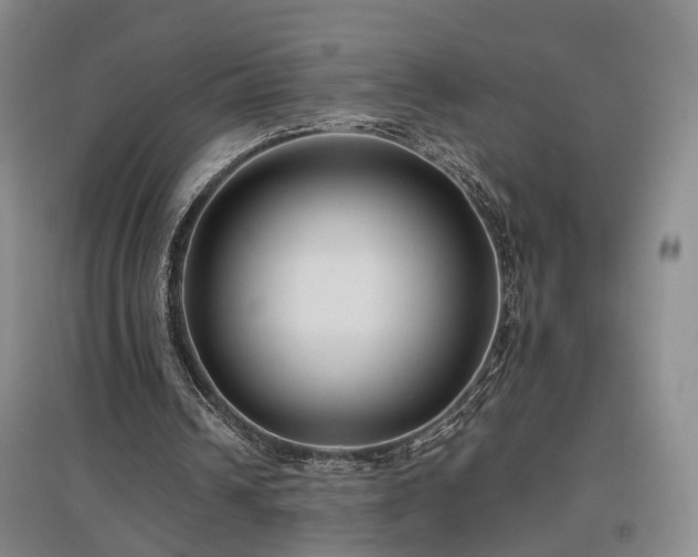 X0000096980242200802151336