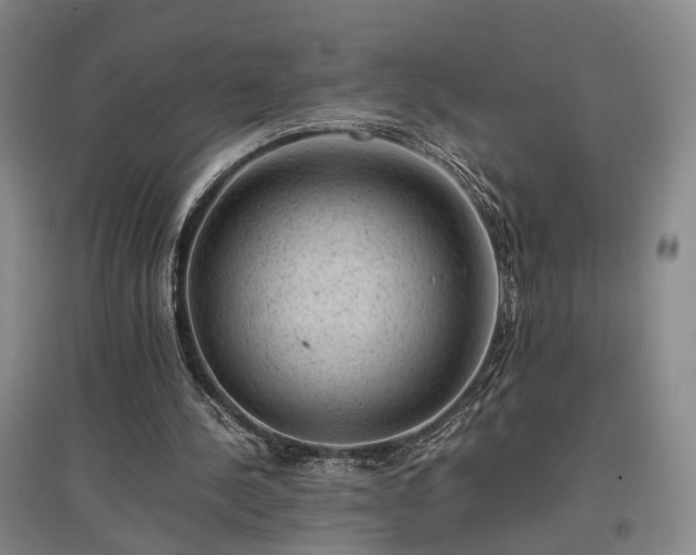 X0000096980244200802151336