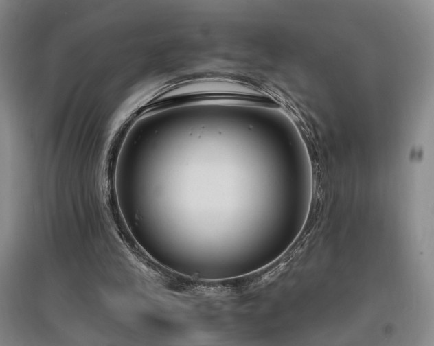 X0000096980245200802151336