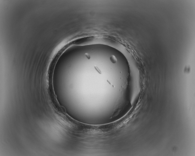 X0000096980246200802151337