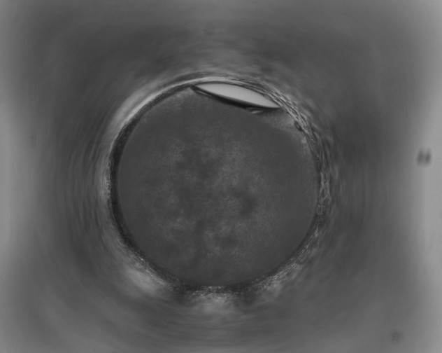 X0000096980247200802151337