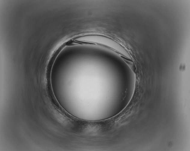 X0000096980248200802151337