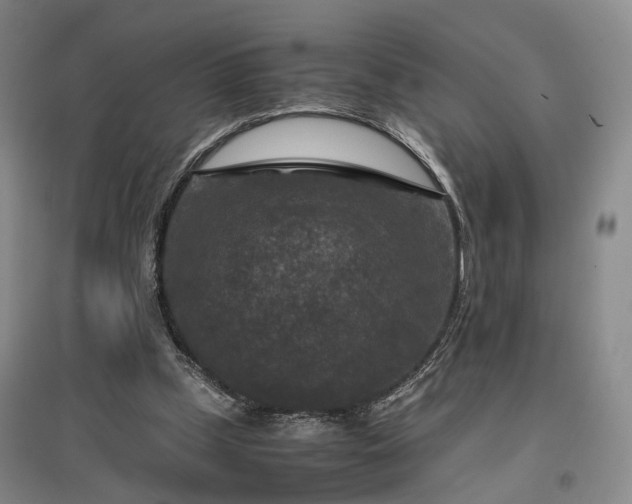 X0000096980249200802151337