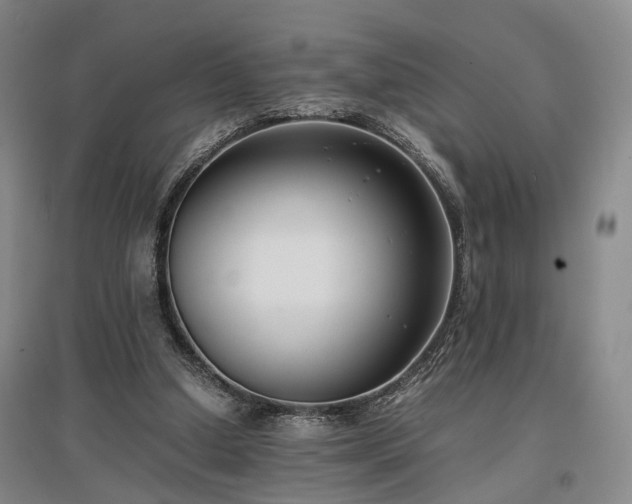 X0000096980250200802151337