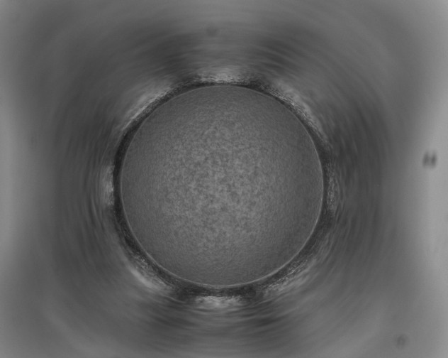 X0000096980251200802151337