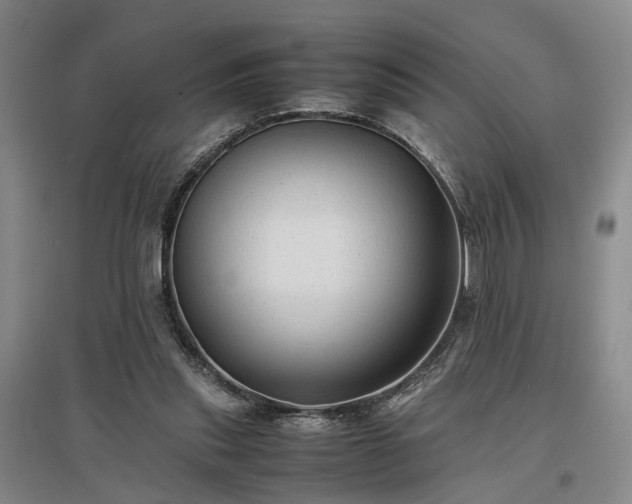 X0000096980253200802151337