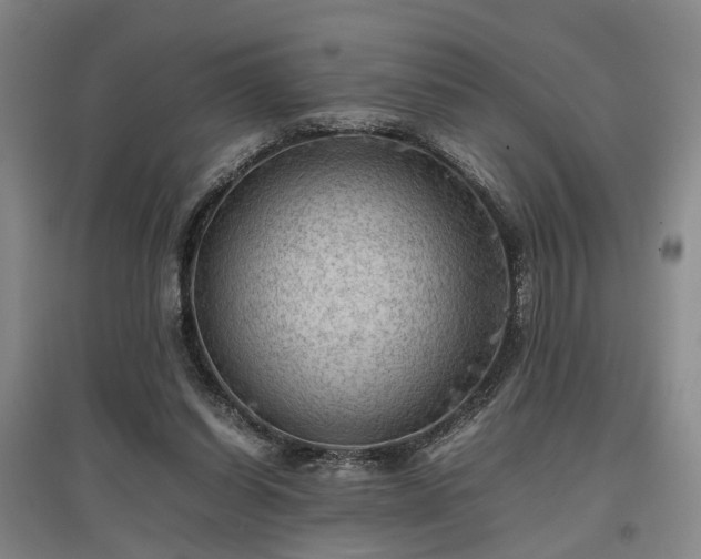 X0000096980254200802151337