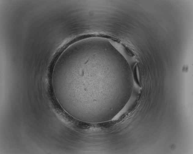 X0000096980256200802151337