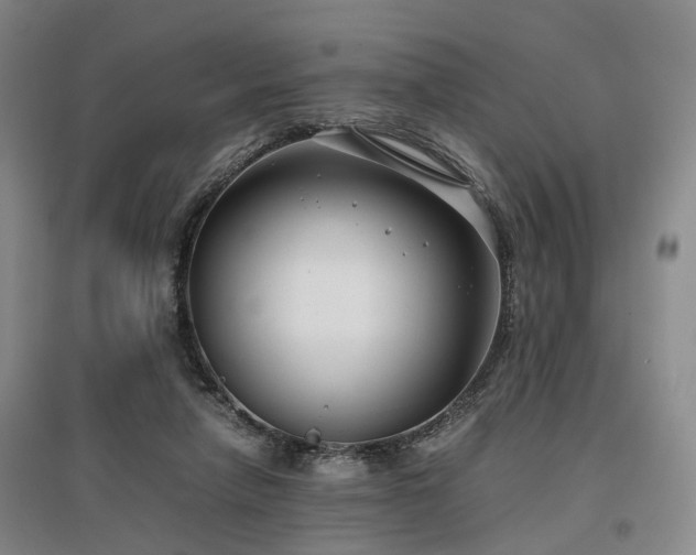 X0000096980258200802151337