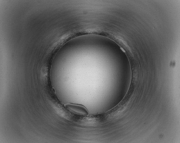 X0000096980260200802151337