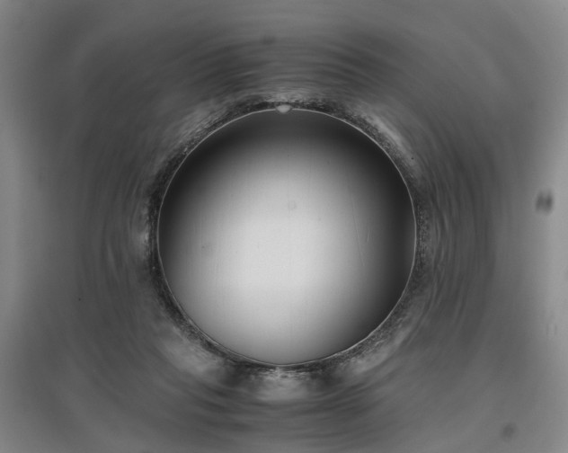 X0000096980261200802151337