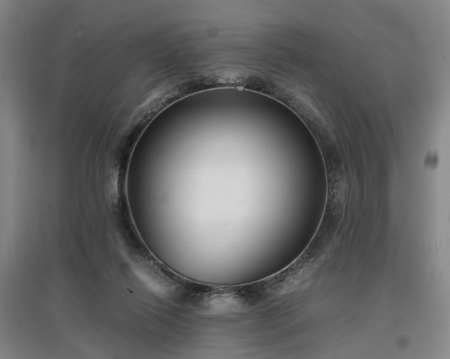 X0000096980262200802151337