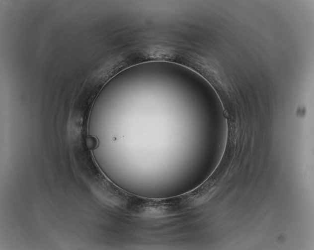 X0000096980263200802151337