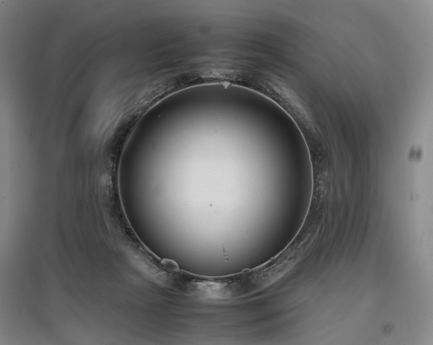 X0000096980265200802151337