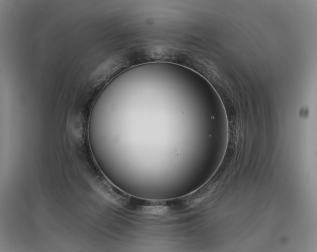 X0000096980266200802151337