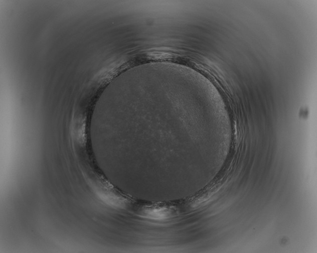 X0000096980267200802151337