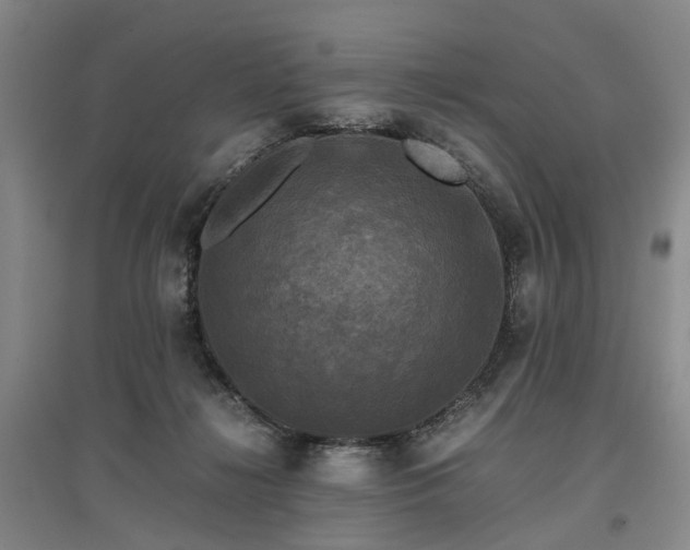 X0000096980268200802151337