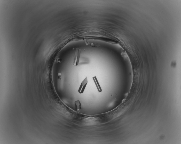 X0000096980269200802151337