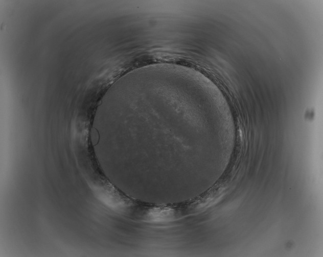 X0000096980271200802151337