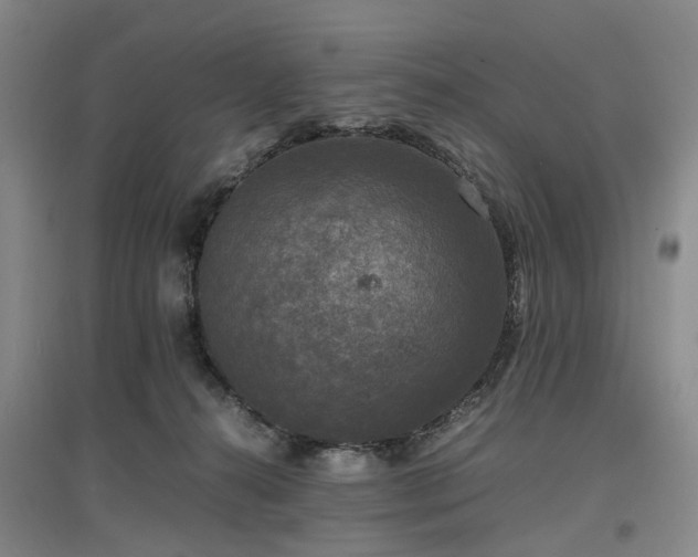 X0000096980272200802151337